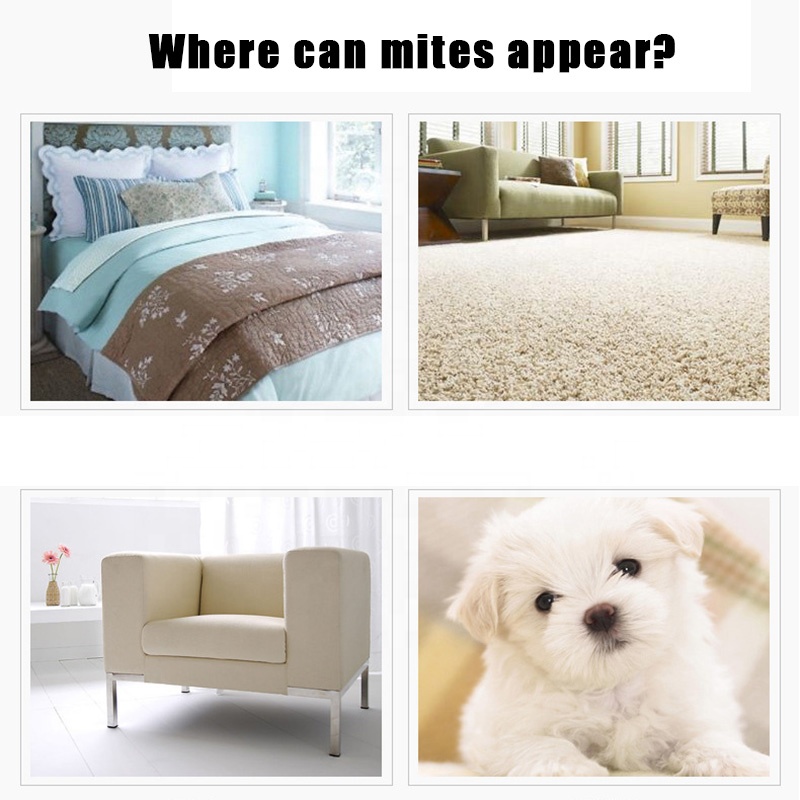 Vacuum Cleaner kill bacteria